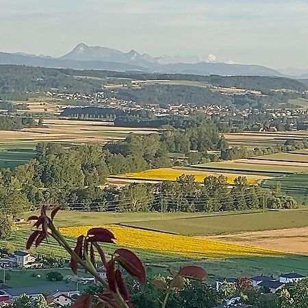 Swiss Borzoi House Bed & Breakfast Vully-les-Lacs Exterior photo