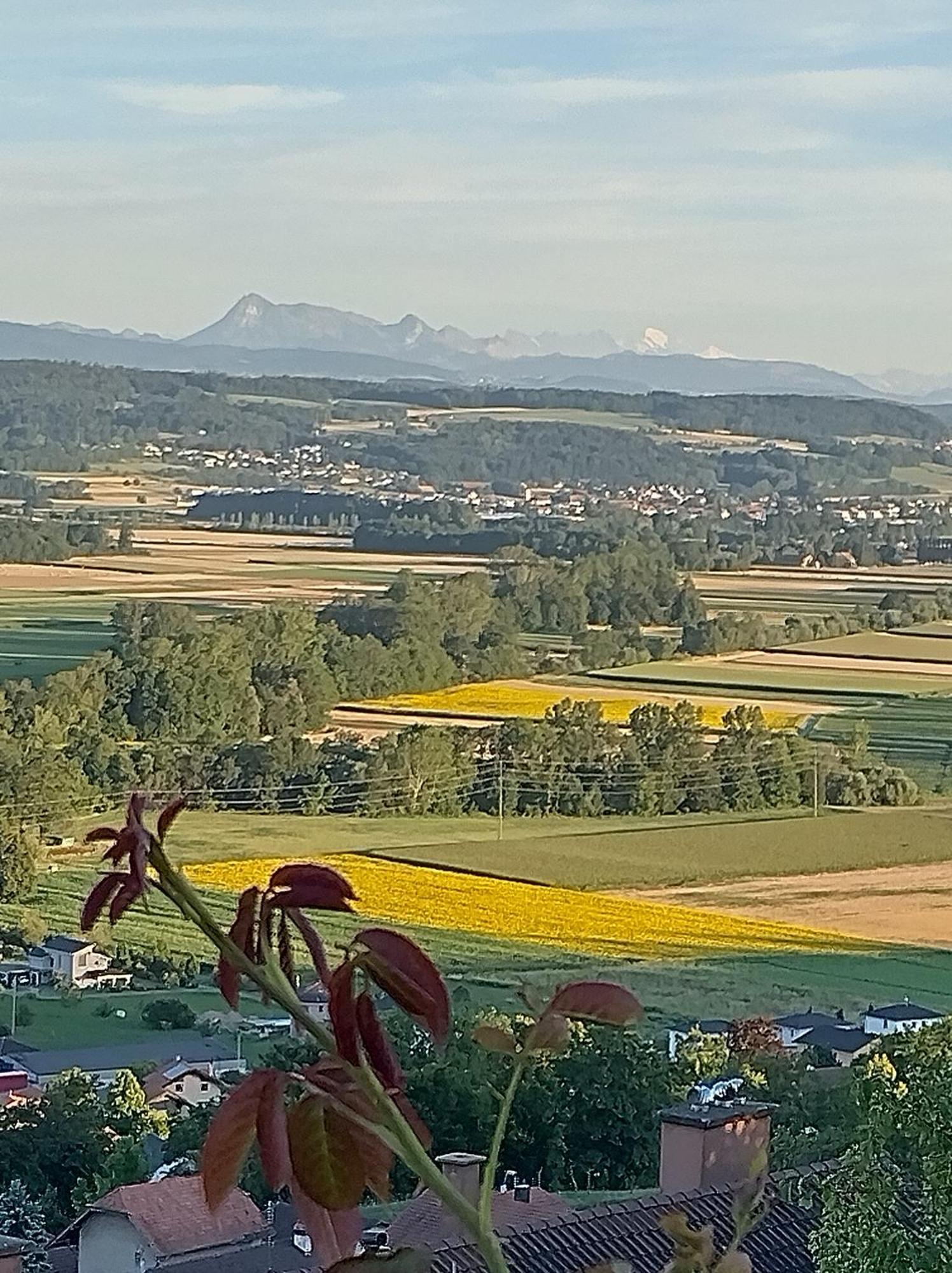 Swiss Borzoi House Bed & Breakfast Vully-les-Lacs Exterior photo